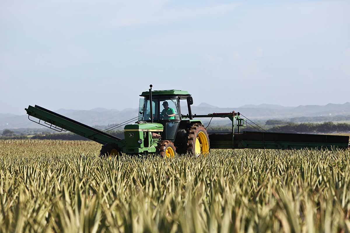 Landmaschine als Pfand für Kredit abgeben